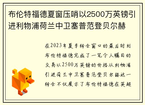 布伦特福德夏窗压哨以2500万英镑引进利物浦荷兰中卫塞普范登贝尔赫 布伦特福德夏窗压哨以2500万英镑引进利物浦荷兰中卫塞普范登贝尔赫
